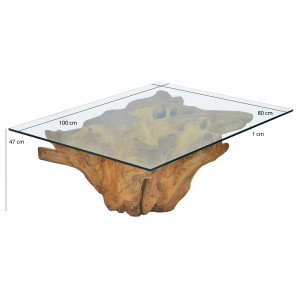 Table Basse Rectangulaire 100 x 80 cm en Racine de Teck avec Plateau en Verre Trempé - WURZEL 02